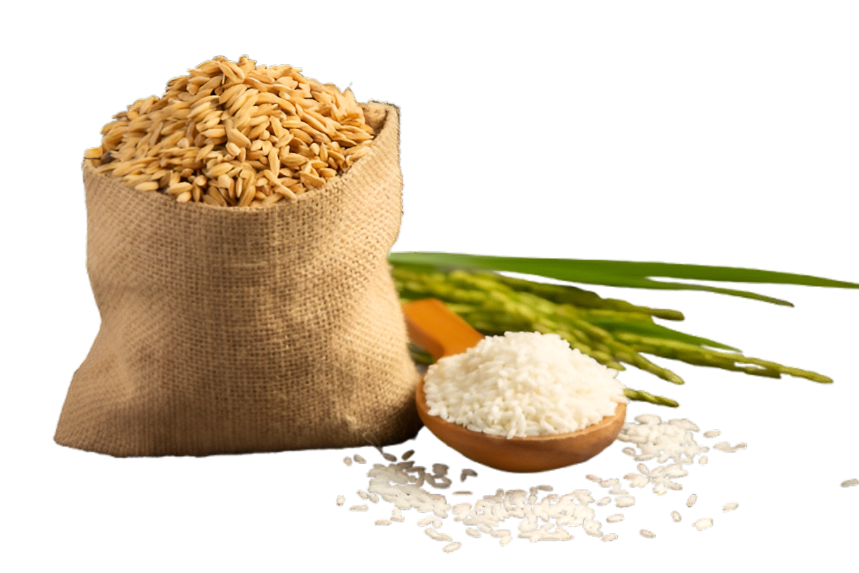 sack rice seed with white rice small wooden spoon rice plant removebg preview Picsart AiImageEnhancer